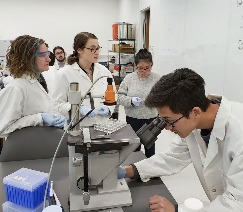 Group of five people in lab coats discussing an experiment. One is looking into a microscope.