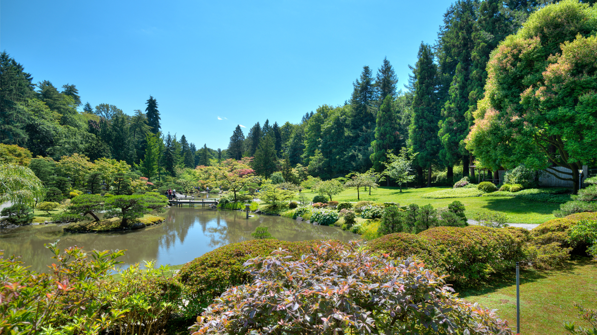 Japanese Garden at Washington Park Arboretum, Seattle