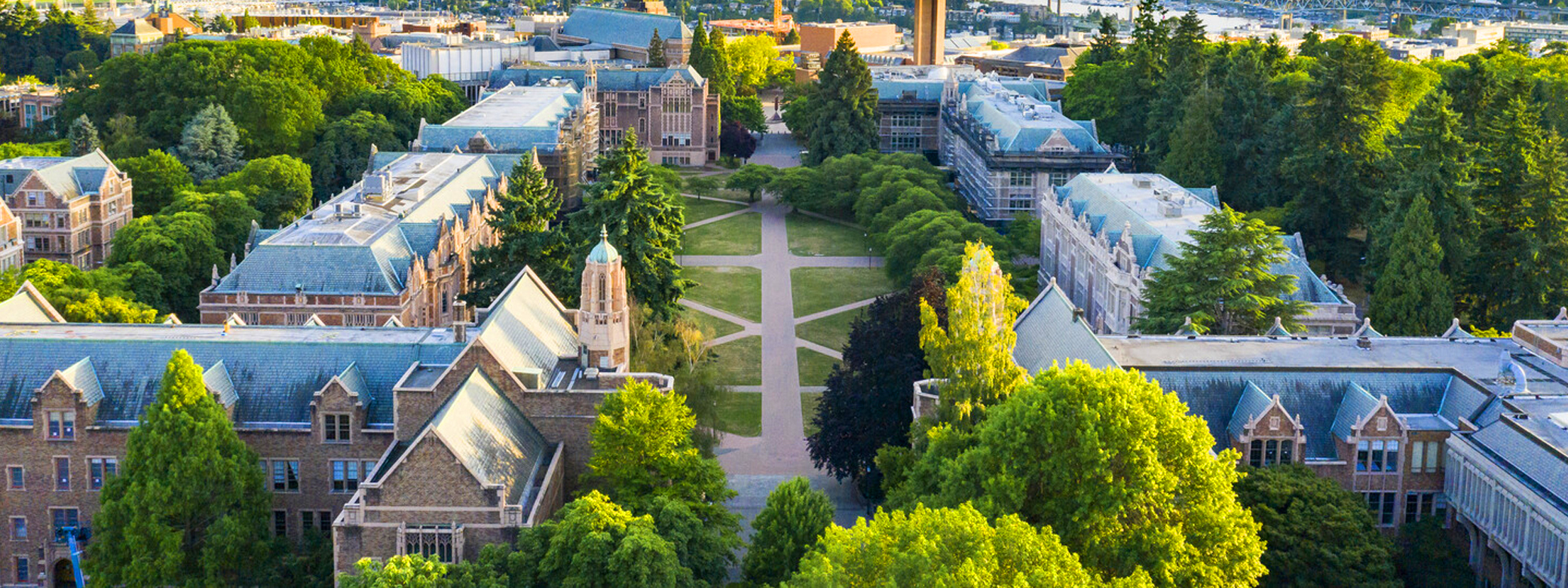 Aerial view of the Quad in spring at UW